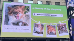 Story image