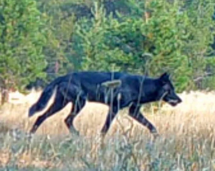 Story image