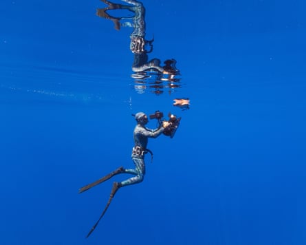 The hit BBC series returns with cutting-edge technology, including the world’s first underwater CCTV camera – dubbed ‘stonefish’.Photograph: BBC Studios/Jose Branco