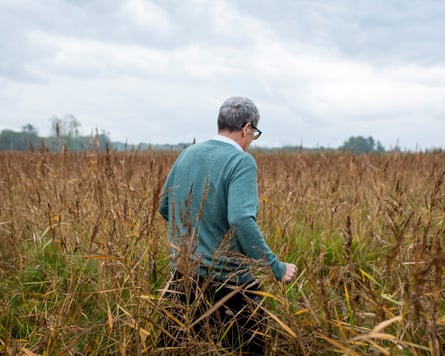Catfield Fen is an internationally important and tremendously diverse wetland.Photograph: Ali Smith/The Guardian