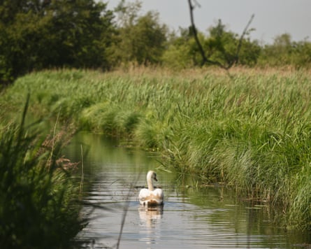 The couple are campaigning to limit water abstraction in the area.Photograph: Si Barber/The Guardian