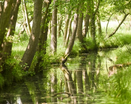 The couple are considering another legal challenge.Photograph: Si Barber/The Guardian