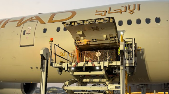 Image caption,The bears travelled from Moscow via Abu Dhabi to Dublin, arriving in the Republic of Ireland on 3 August 2026