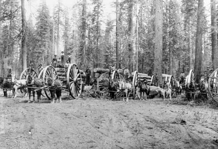Loggers move timber using horses and ‘big wheel’ wagons near Mount Shasta in this 1930 photograph. A ‘donkey’ steam engine can be seen in the background.Photograph: Historical/Corbis/Getty Images