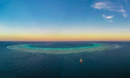 Scott Reef off the coast of Western Australia is home to more than 1,500 species. It sits over the underwater Browse gas basin.Photograph: Greenpeace