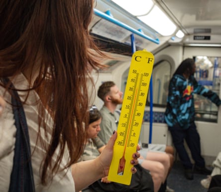 In the UK, it is illegal to transport cattle above 30C, but the mercury hit 32C on the train and 34C on the Victoria Line platform at Finsbury Park.Photograph: Linda Nylind/The Guardian