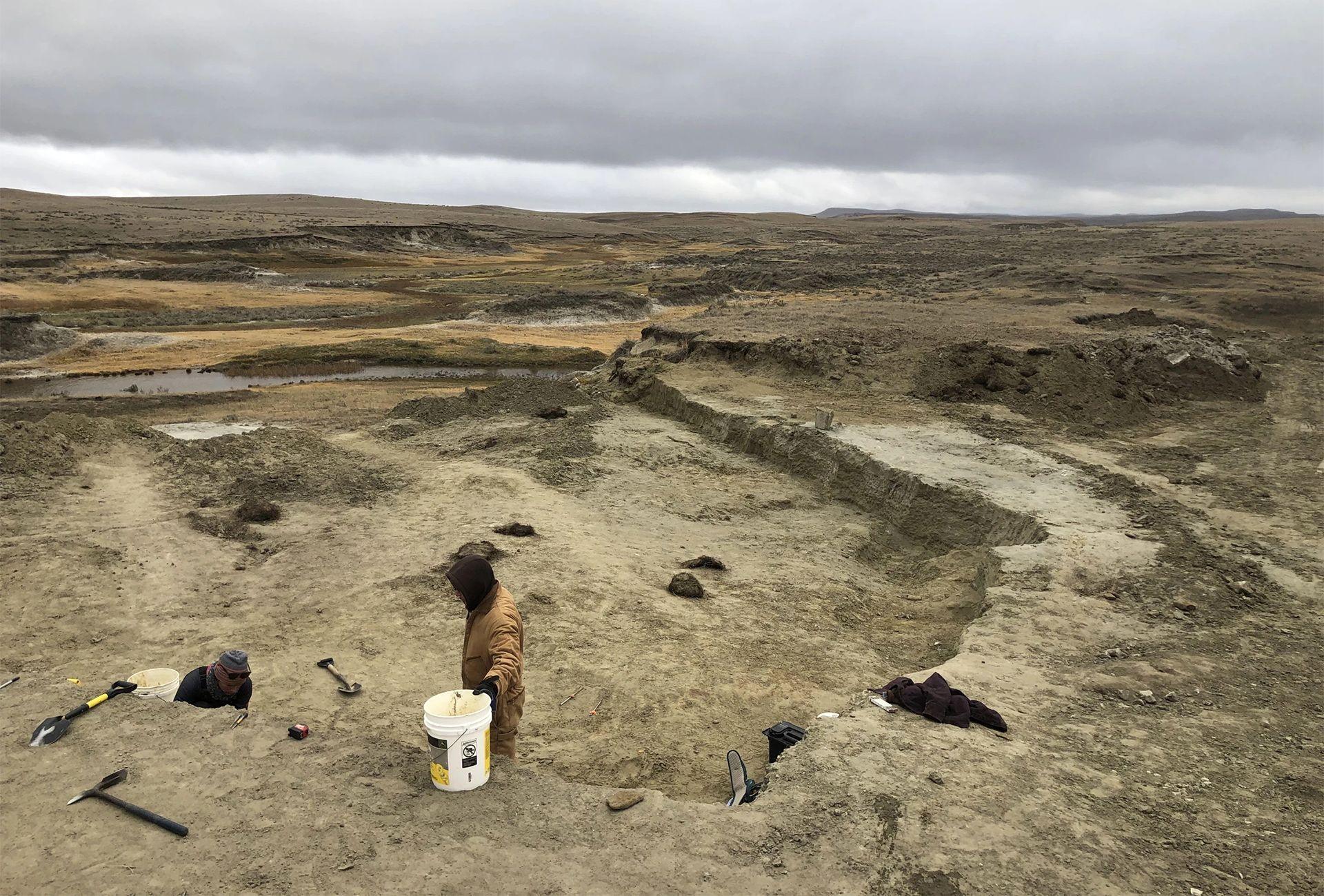 Image caption,Gus the T. rex was discovered in Badlands country in South Dakota and named after the late owner of the land