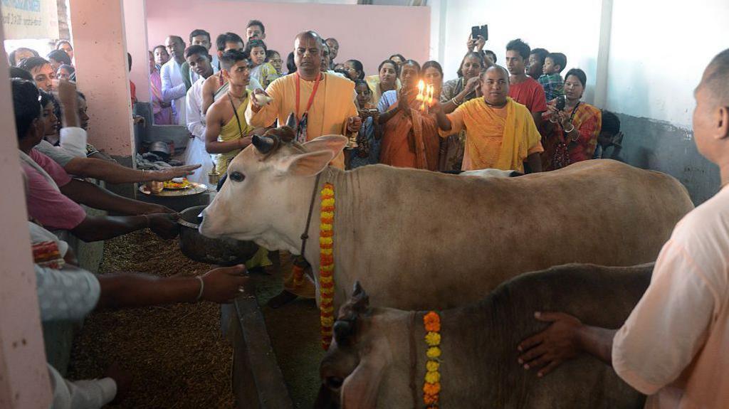 Image caption,Hindus consider cows sacred and killing them is illegal in many states.