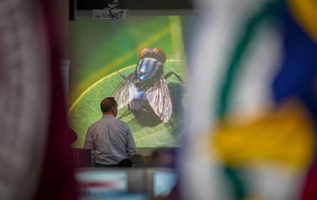 The Texas operations center during the state’s response to the infestation, in Austin, on 5 June 2026.Photograph: Austin American-Statesman/Hearst Newspapers/Getty Images