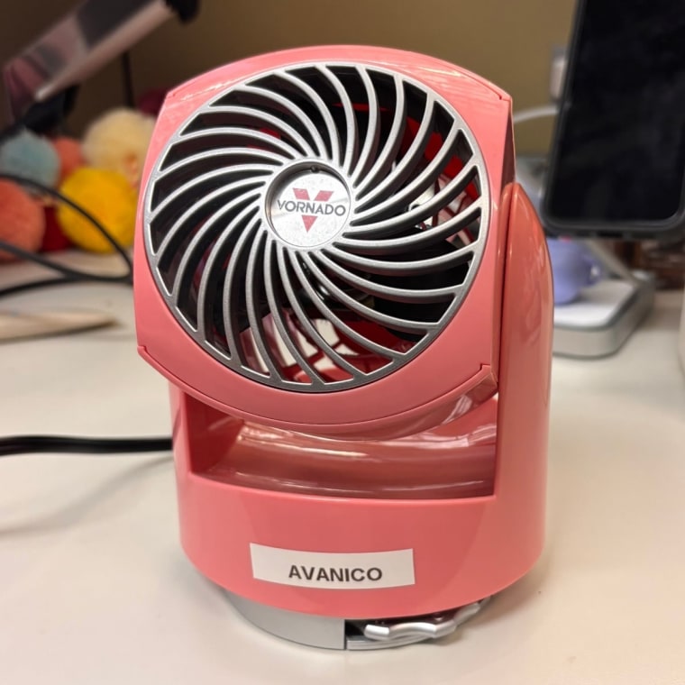 Malin loves using this Vornado desk fan after working up a sweat from walking to work.Courtesy Cory Fernandez
