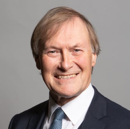 The Conservative MP David Amess was murdered by an Islamic State sympathiser in 2021.Photograph: Chris McAndrew/PA