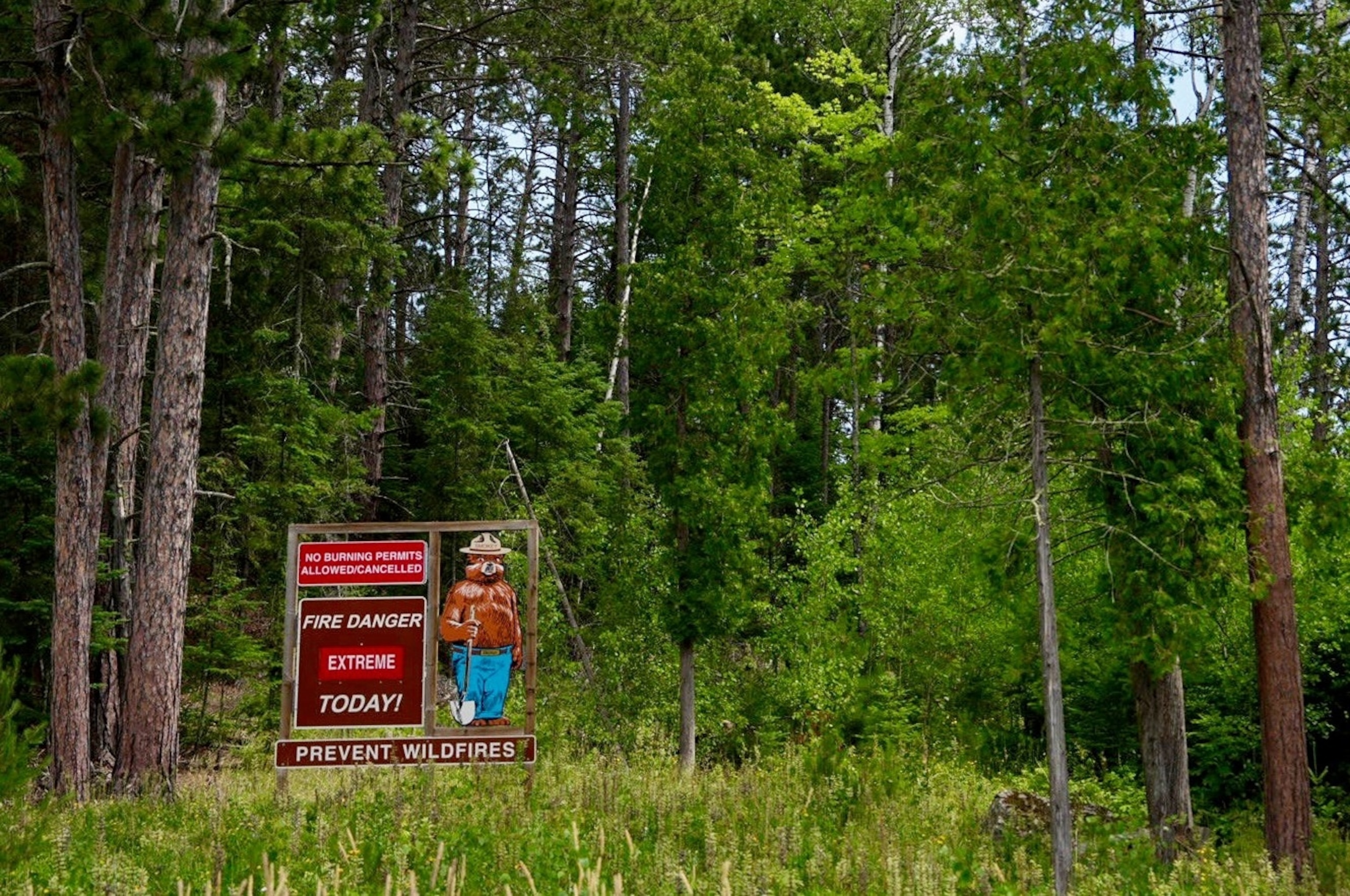 Signage near the Minnesota Department of Natural Resources' office in Tower, Minn., notes extreme fire danger, July 14, 2026.Anthony Souffle/Minnesota Star Tribune via AP