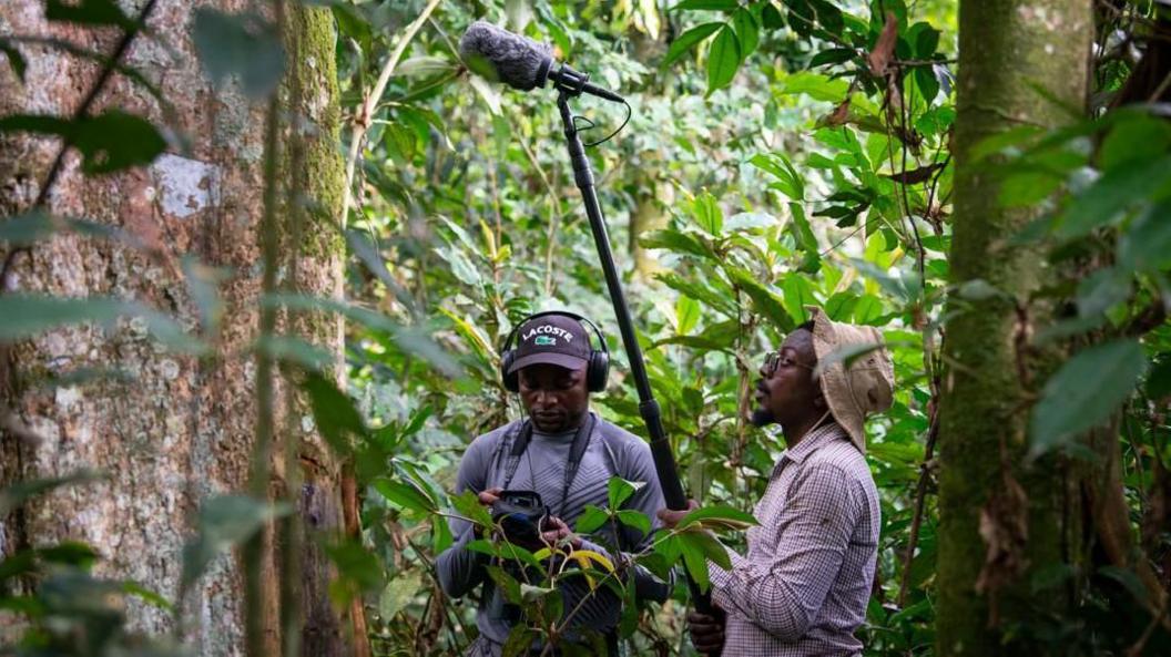 Image caption,Junior Amboko (left) and Mardoché B. Koko recorded the distinctive, resonant roar of the newly discovered Colobus congoensis monkey in the Lomami National Park, DRC