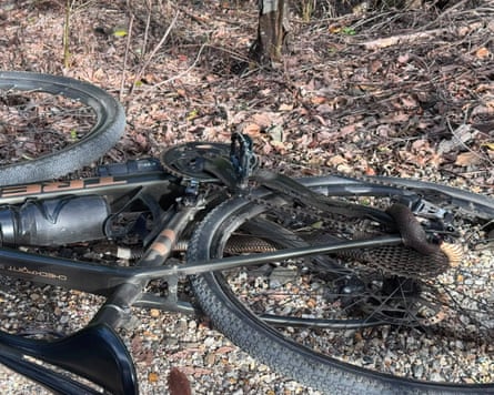 The eastern brown snake’s lower body tangled in the bike chain.Photograph: Sarah Mailey