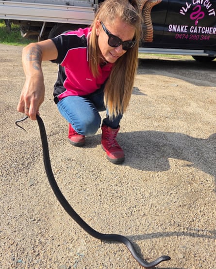 ‘I’ve had this happen a couple of times,’ a snake catcher friend told Sarah Mailey
