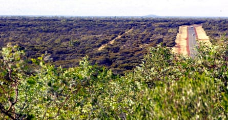 Dense scrub near Barrow Creek.Photograph: AAP
