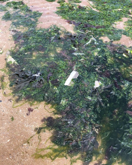 Litter in the water in Margate after a sewage discharge in 2021.Photograph: Environment Agency/PA