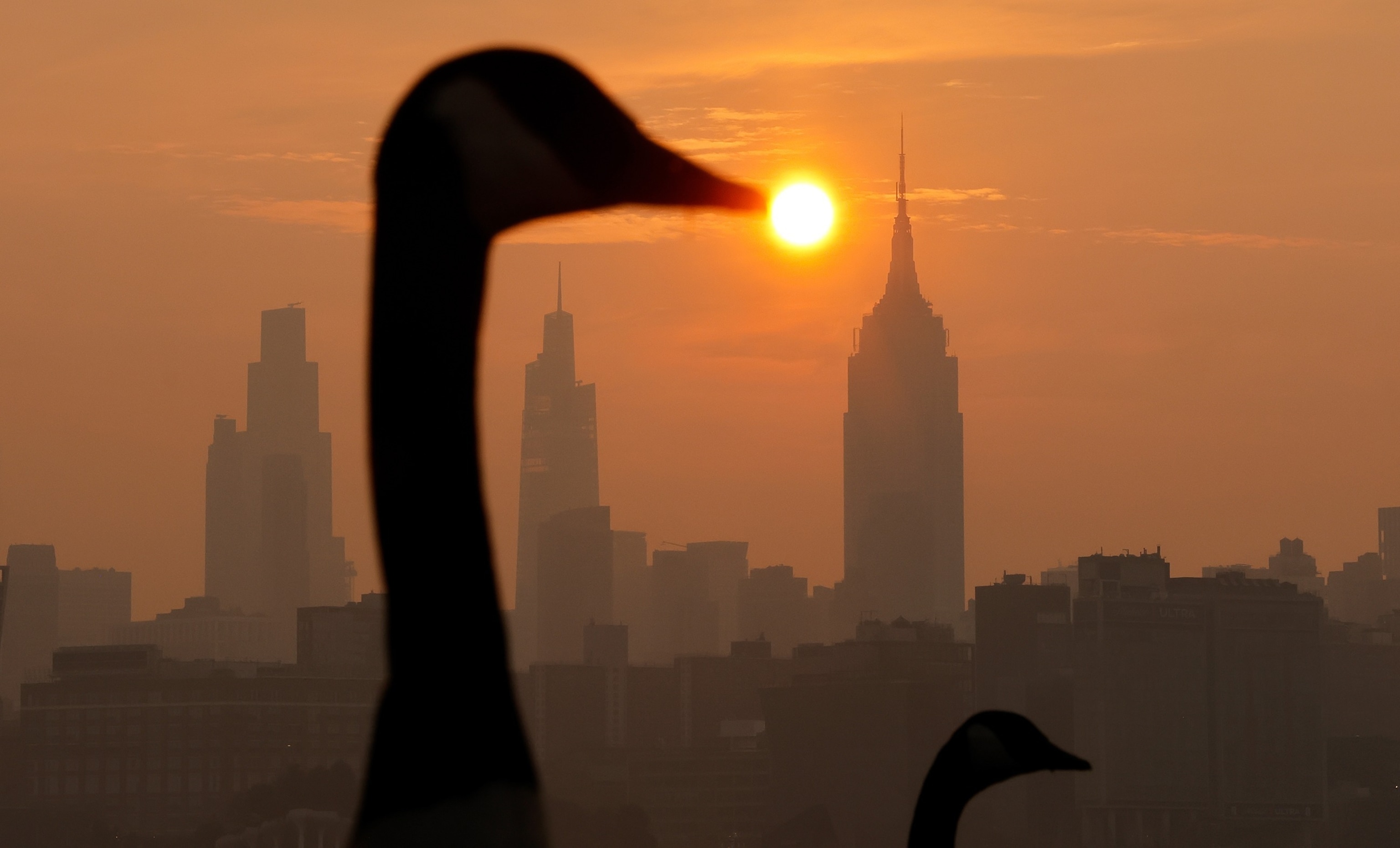 Wildfire smoke from Canada shrouds the sun as it rises behind the Empire State Building in New York City, and geese in a park in Hoboken, New Jersey, July 17, 2026.Gary Hershorn/ABC News