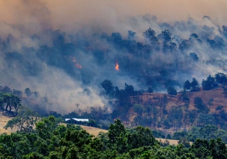 A burning forest on a hillside near Longwood in Victoria, Australia, as bushfires spread in January 2026.Photograph: Michael Currie/Reuters