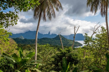 A view across the island of Príncipe.Photograph: Constantino Leite/Alamy