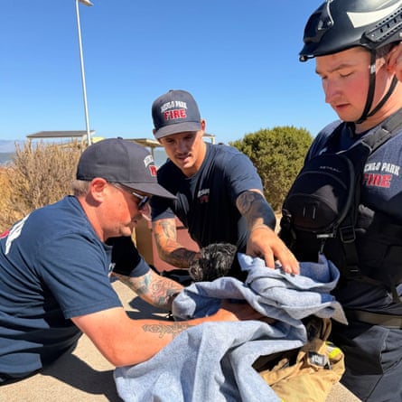 Menlo Park Fire Protection District rescued a dog in the San Francisco Bay.Photograph: Menlo Park fire protection district