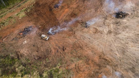 Land-clearing has been tracked in NSW for the past 20 years, with data categorised into woody – meaning trees and shrubs – and non-woody vegetation, which includes groundcover plants, herbs and grasses.Photograph: Australian Conservation Foundation