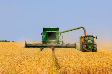 A combine harvester cuts through a wheat field at Plastow Green, Hampshire. Crops have ripened early, said Paul Tompkins of the National Farmers’ Union.Photograph: David Hartley/Shutterstock