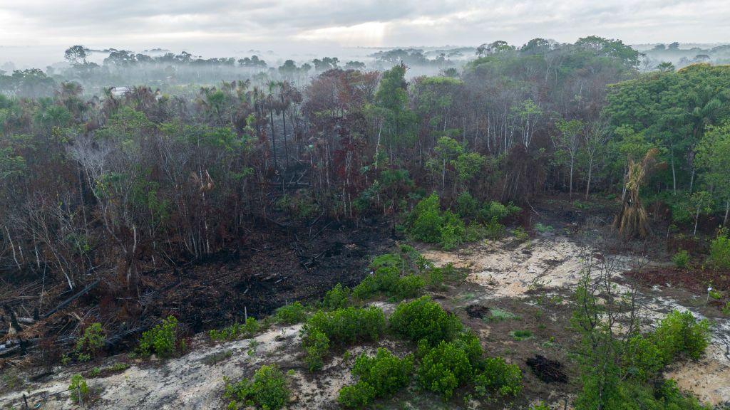 Image caption,In 2024, larges swathes of Amazon rainforest burned as climate extremes and human activity fuelled fires