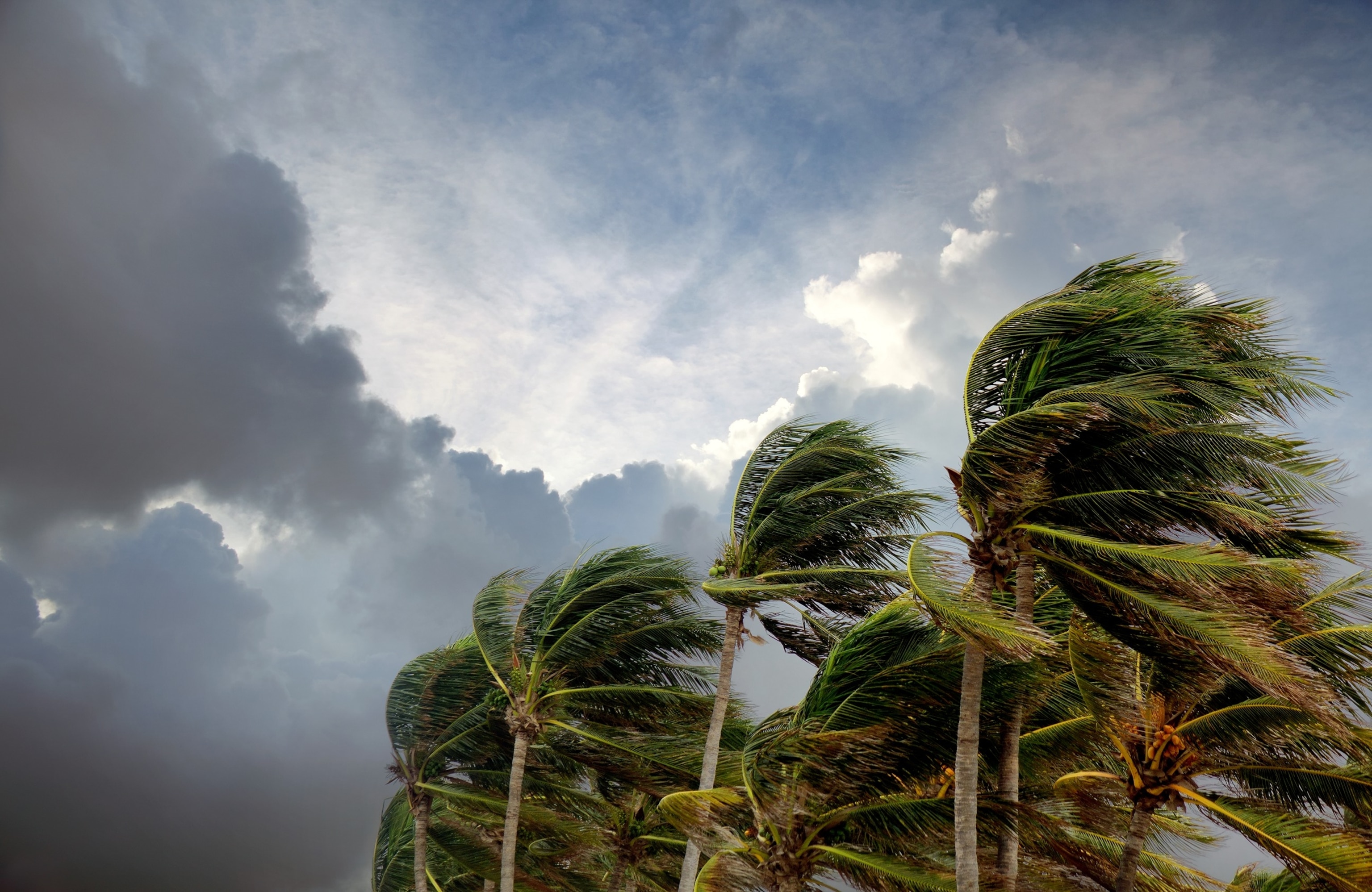 A tropical depression that formed over the weekend in the Gulf off the west coast of Florida strengthened into Tropical Storm Bertha, July 20, 2026. (Sadik Demiroz/Getty Images)Sadik Demiroz/Getty Images