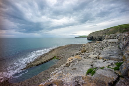 Dancing Ledge, which contains the fissure where the puffins nest.Photograph: Will Wilkinson