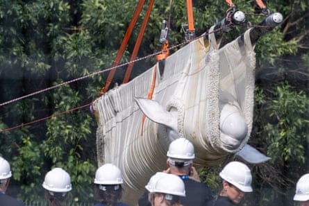 Beluga whale Sierra is transported by a group of experts from Marineland and several US aquariums on to a truck at Marineland in Niagara Falls.Photograph: Canadian Press/Shutterstock