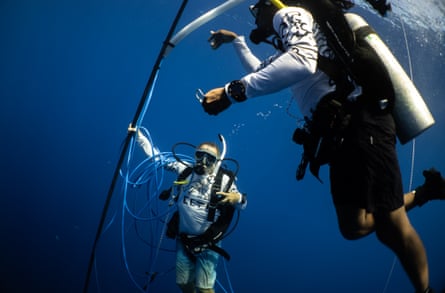 Researchers from Project Ceti diving with a whale recording unit.Photograph: Project Ceti
