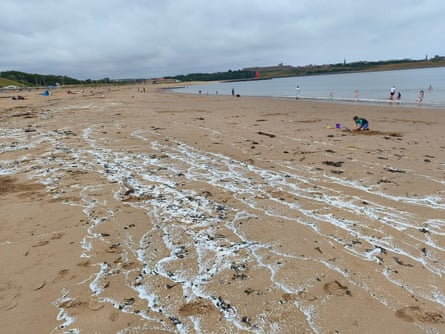Environmental campaigners have called for stronger regulation on pollution after the incident in South Shields.Photograph: Alistair Leadbetter