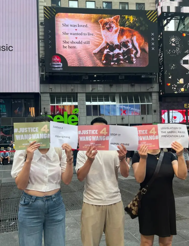 Image caption,China's animal lovers have taken their fight global, with some putting up billboards in places as far away as New York