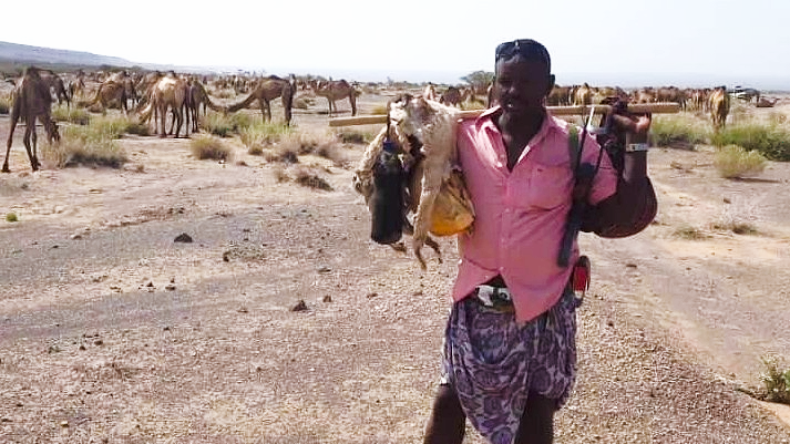 Image caption,Ali Umer says that within the last month he has lost eight camel calves because of the extreme heat