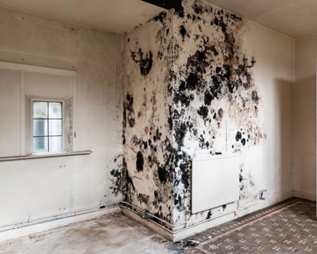 Damp and mould, common in deprived areas, also harm respiratory health.Photograph: Alex Ramsay/Alamy
