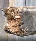 Some of the damage allegedly caused to the boat’s woodwork.Photograph: SVT