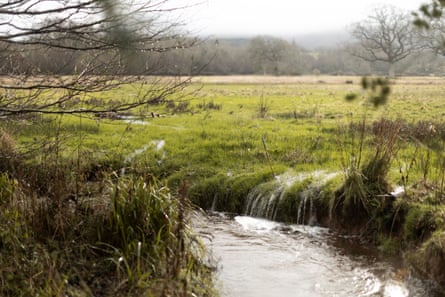 Holnicote Estate, where conservation experts have been restoring the landscape by allowing a river to return to its natural course.Photograph: James Beck/National Trust/PA