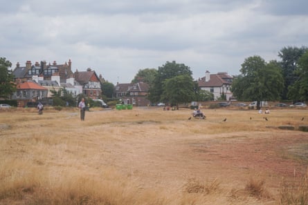 The grass on Wimbledon Common has turned yellow-brown as London experiences severe dry conditions after record-breaking heatwaves.Photograph: Amer Ghazzal/Shutterstock