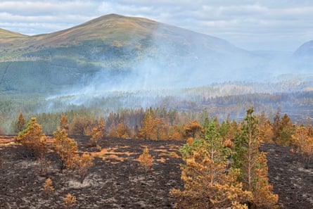 More than 500 firefighters were mobilised over the course of the incident to deal with the blaze alongside specialist services.Photograph: SFRS