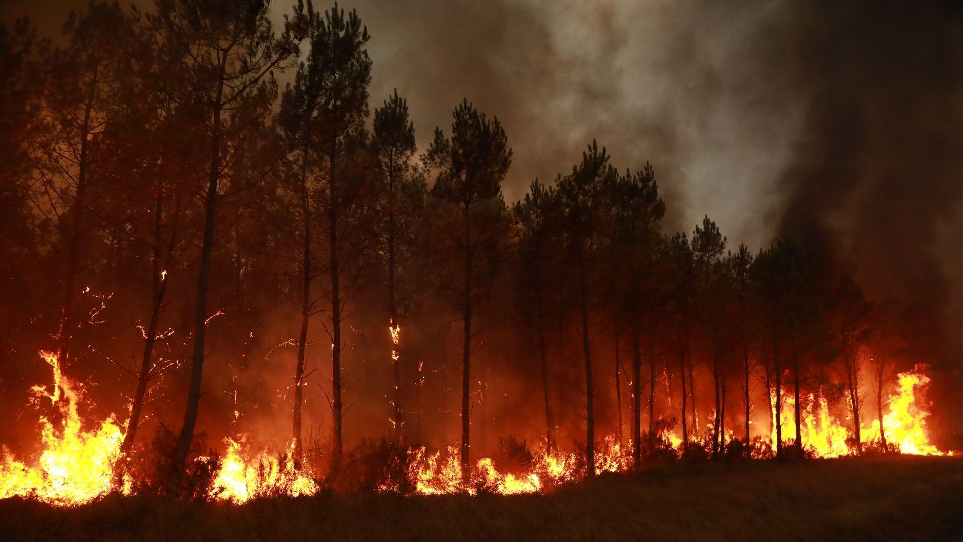 Image caption,Smoke billows into the sky from wildfires in Saint-Jean-d'Illac, France