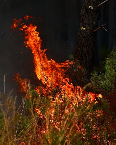 A firefighter watches the flames of a forest fire in Saint-Jean-d'Illac near Bordeaux.Photograph: Romain Perrocheau/AFP/Getty Images