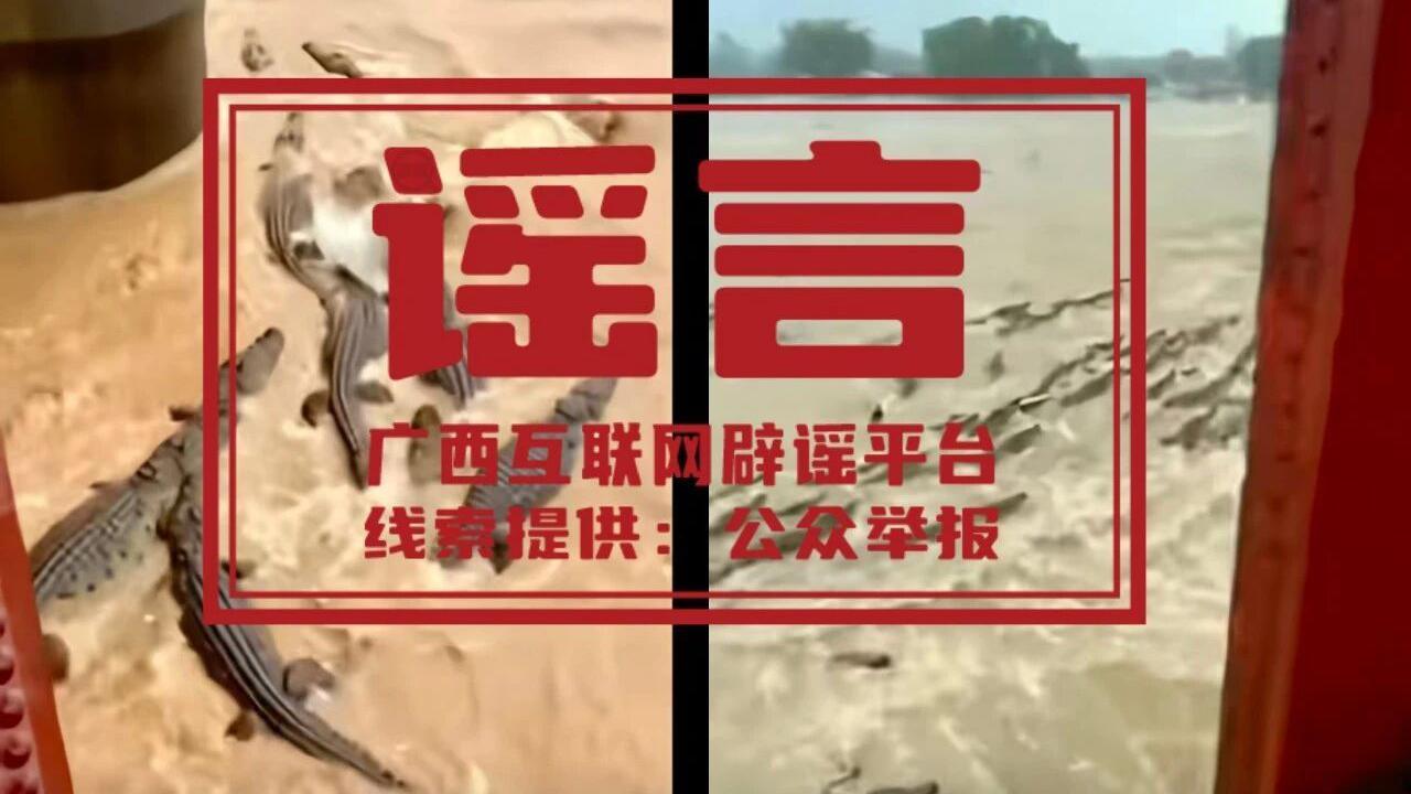 Image caption,Fake content purportedly shows crocodiles being released into a river