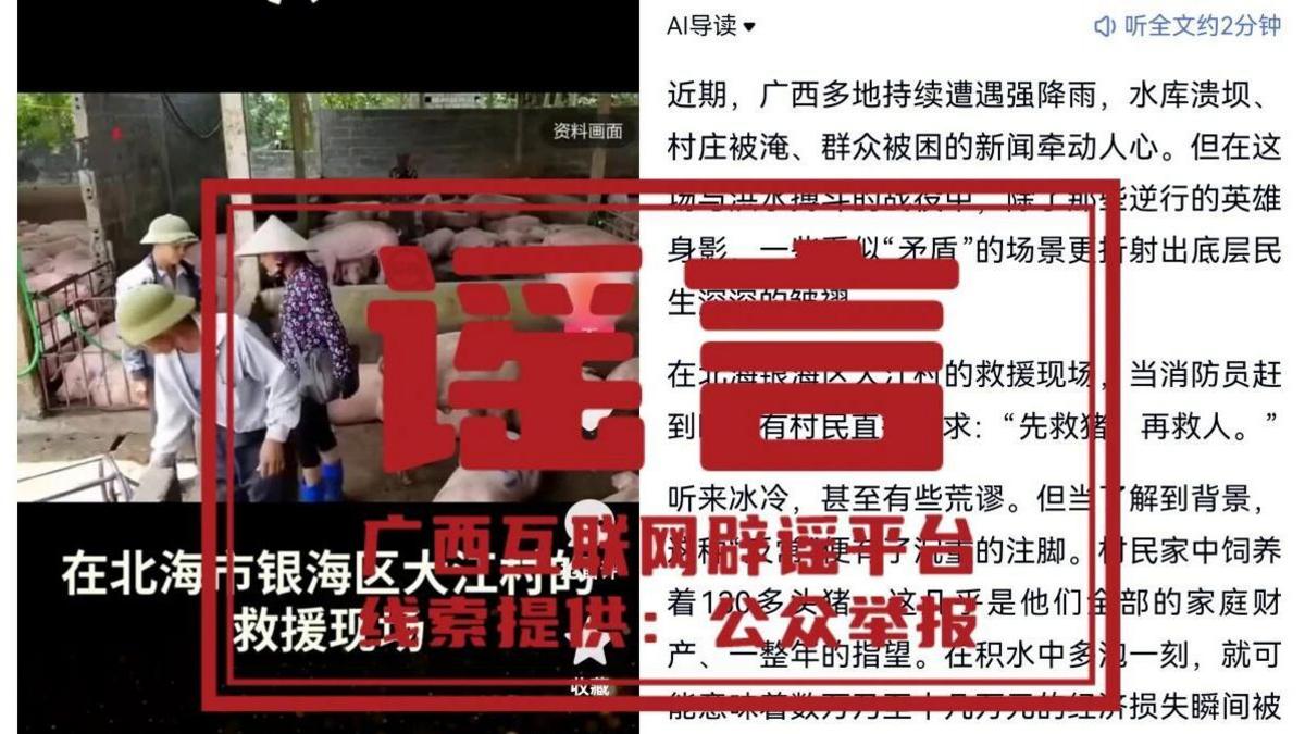 Image caption,AI content purports to show the rescue of pigs prioritised over people