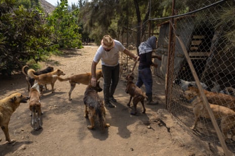 Workers with the rescued dogs at the Mashala shelter near the village of Zefta, on the outskirts of Nabatieh in south Lebanon.