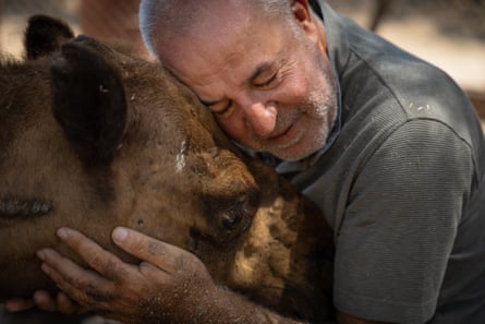 Houssein Hamze, 57, hugs Jamoola, one of two camels rescued from the Bekaa valley last year.