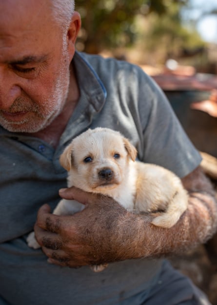 Hamze has stayed to take care of the animals despite war returning Lebanon this year.