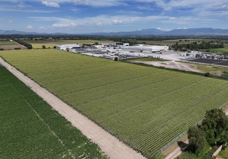 A Taylor Farms complex in Doctor Mora, Mexico.Photograph: Daniel Becerril/Reuters