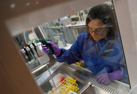 A scientist prepares stem cells for research at the GSK research centre in Stevenage, Hertfordshire. This site will be closed by 2029.Photograph: Peter Nicholls/Reuters