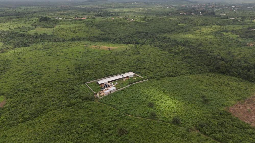 Image caption,The alleged laboratory was hidden from prying eyes